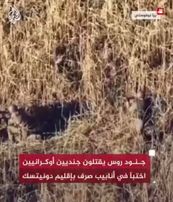 Hawlati - Multimedia