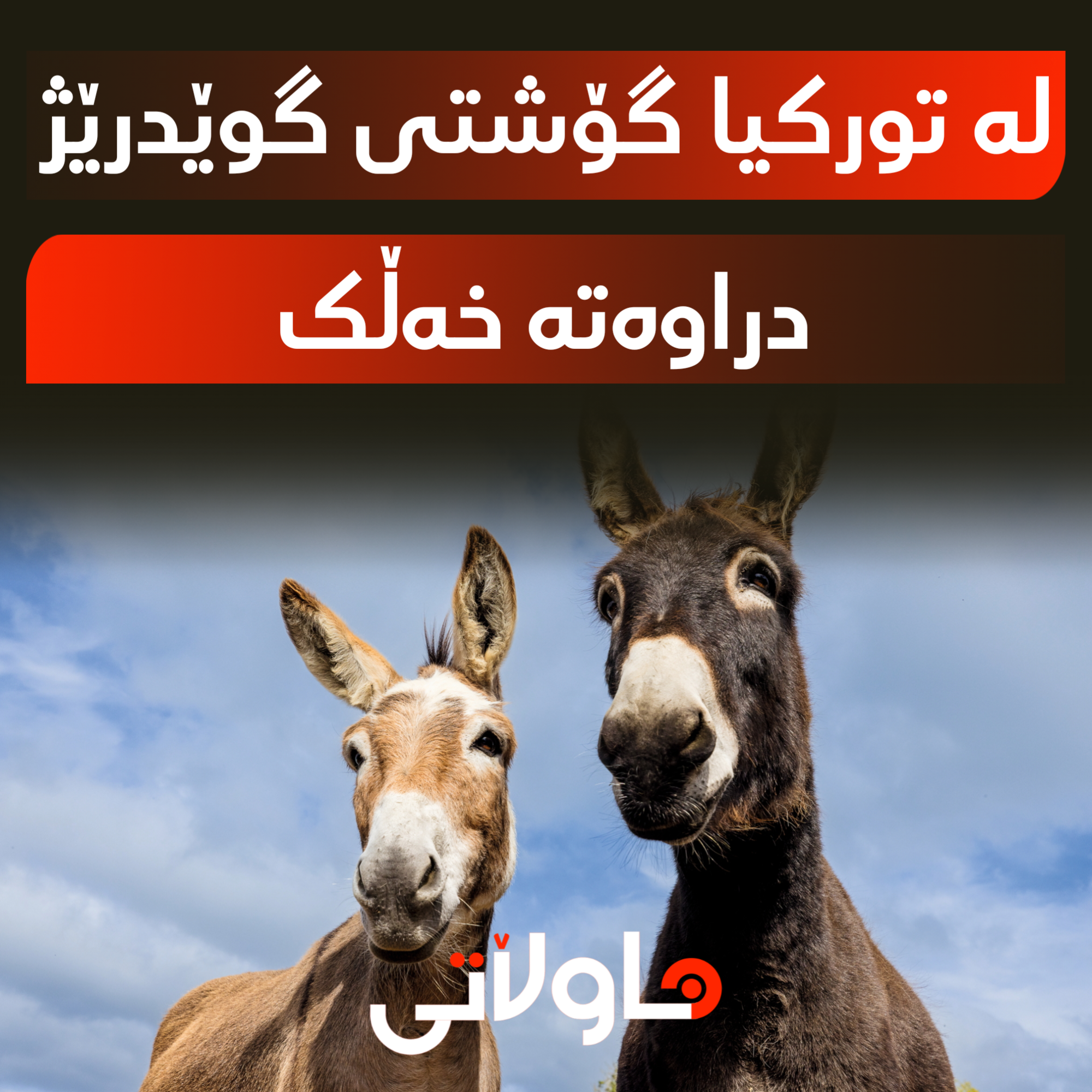 Hawlati iamges