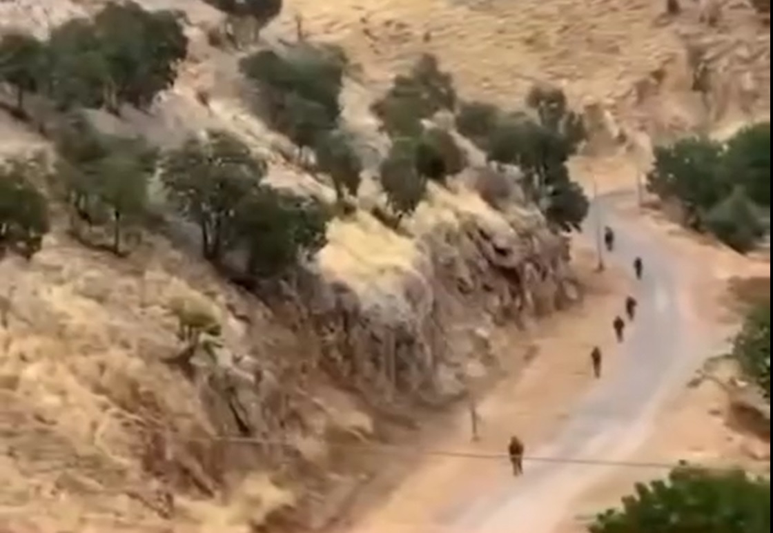Hawlati iamges